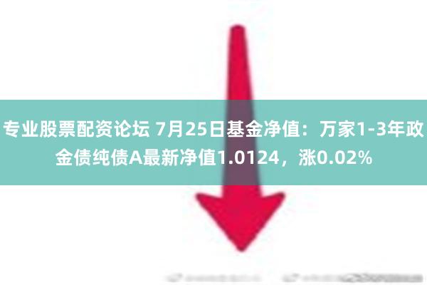 专业股票配资论坛 7月25日基金净值：万家1-3年政金债纯债A最新净值1.0124，涨0.02%