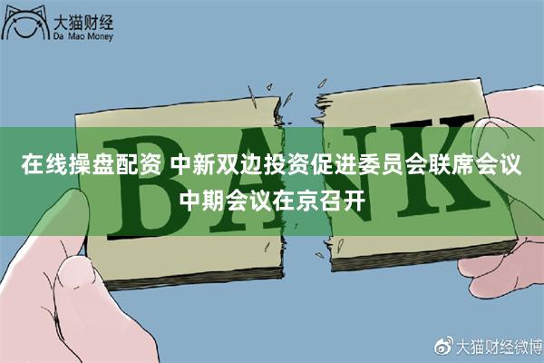 在线操盘配资 中新双边投资促进委员会联席会议中期会议在京召开