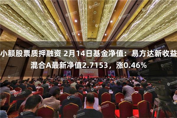 小额股票质押融资 2月14日基金净值：易方达新收益混合A最新净值2.7153，涨0.46%